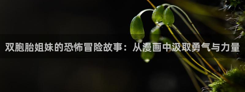 腐漫画网站男男：双胞胎姐妹的恐怖冒险故事：从漫画中汲取勇气与力量